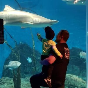 Meet your Posher, Tom